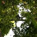 Mexico & Guatemala 2010 - 1059
